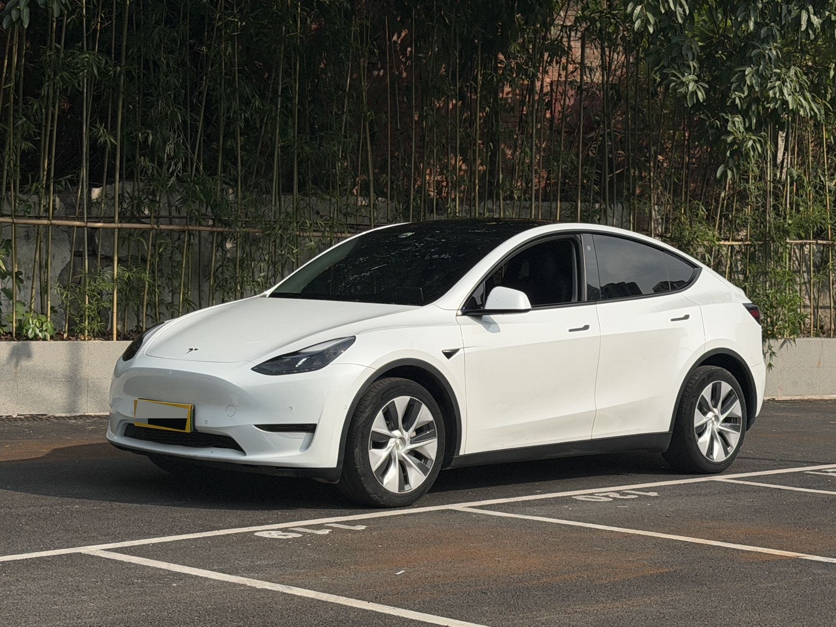 Tesla Model Y 2021 car image 
