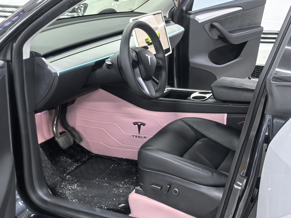 Tesla Model Y 2024 car image #4