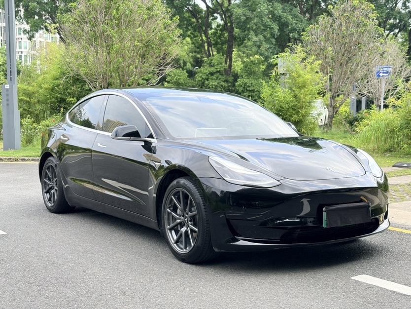 Tesla Model 3 2020 car image #4