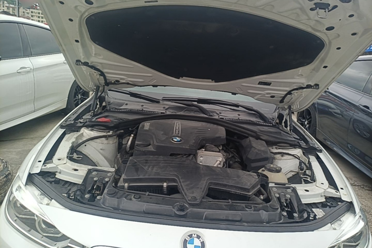 BMW 3 Series 2016 immagine di auto #20