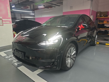 Tesla Model Y 2021 Tesla Model Y 2021 car image