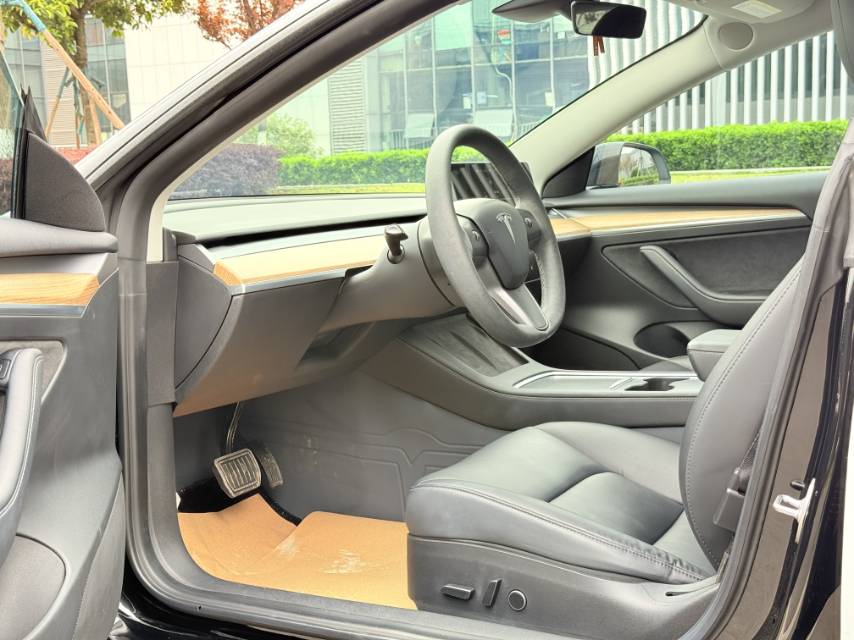 Tesla Model 3 2021 #3 Tesla Model 3 2021 car image #3