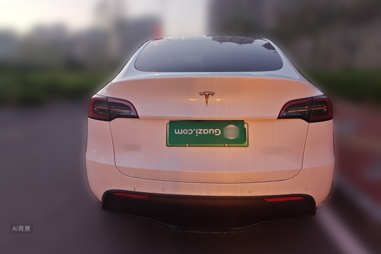 Tesla Model Y 2024 car image #6