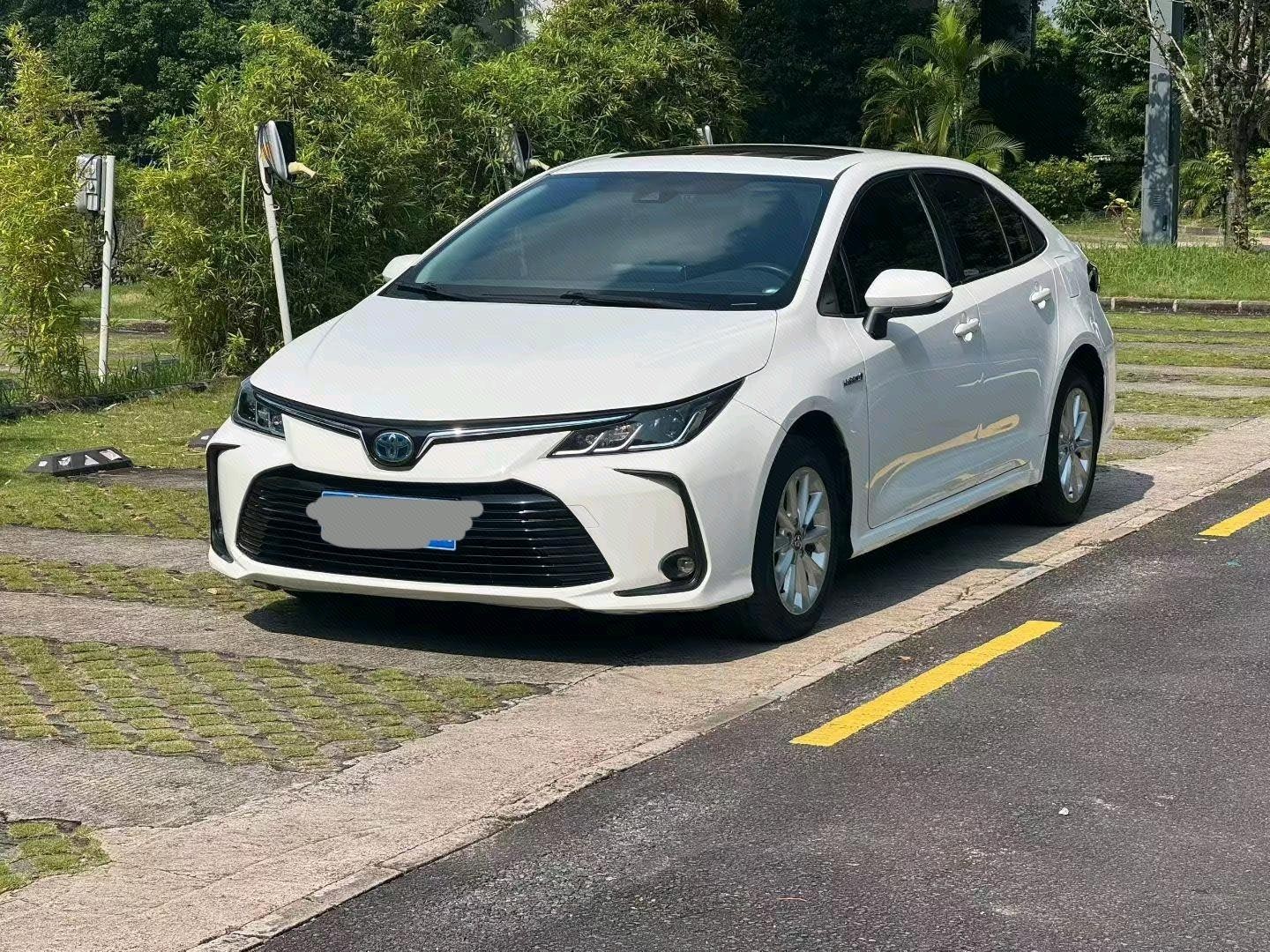 Toyota Corolla 2022 Toyota Corolla 2022 car image