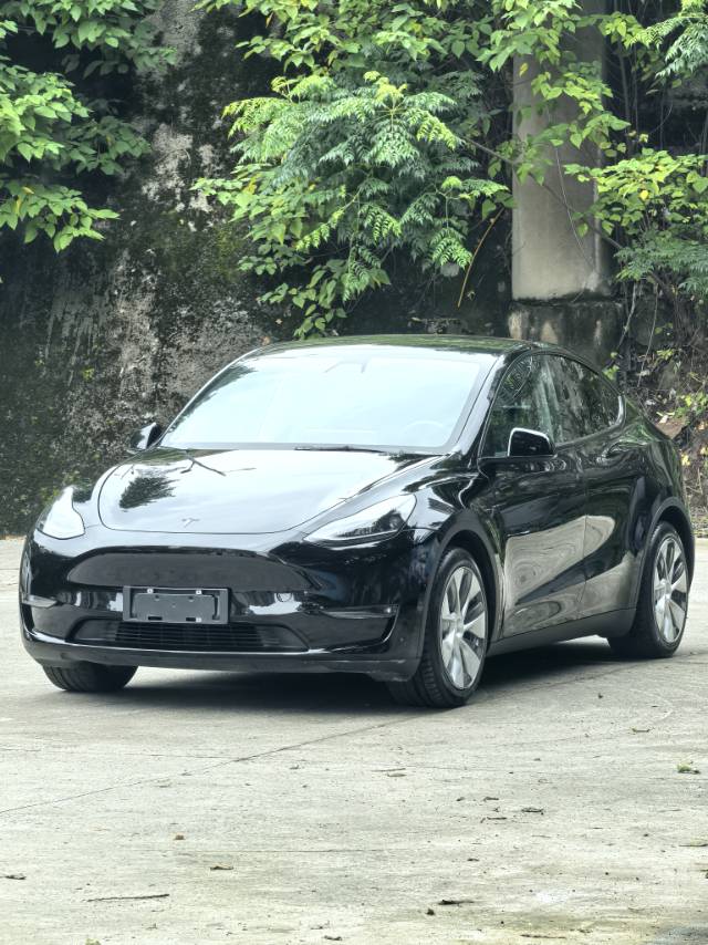 Tesla Model Y 2021 car image 
