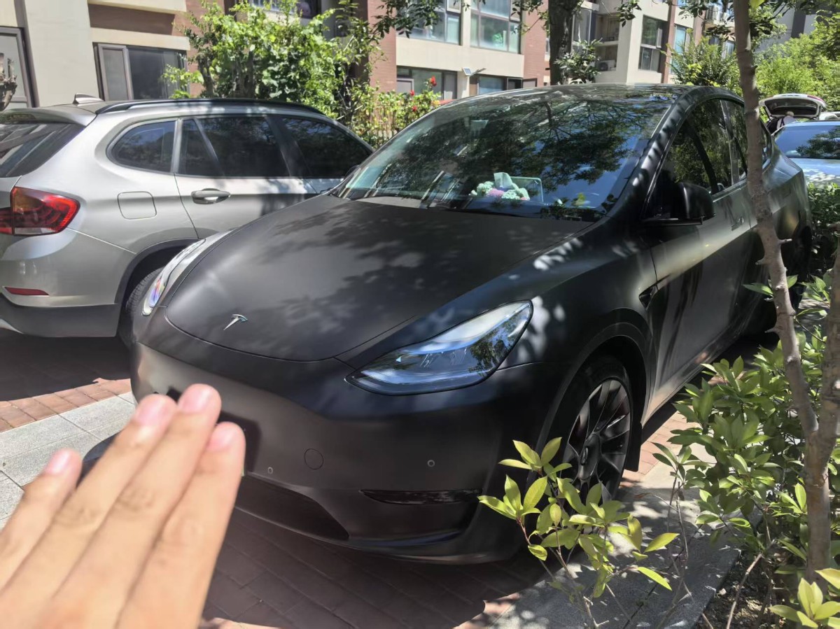 Tesla Model Y 2023 car image 