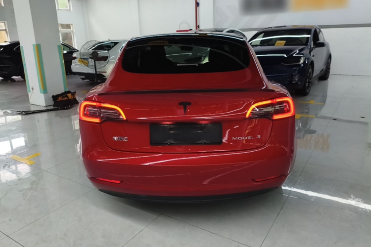 Tesla Model 3 2021 #6 Tesla Model 3 2021 car image #6