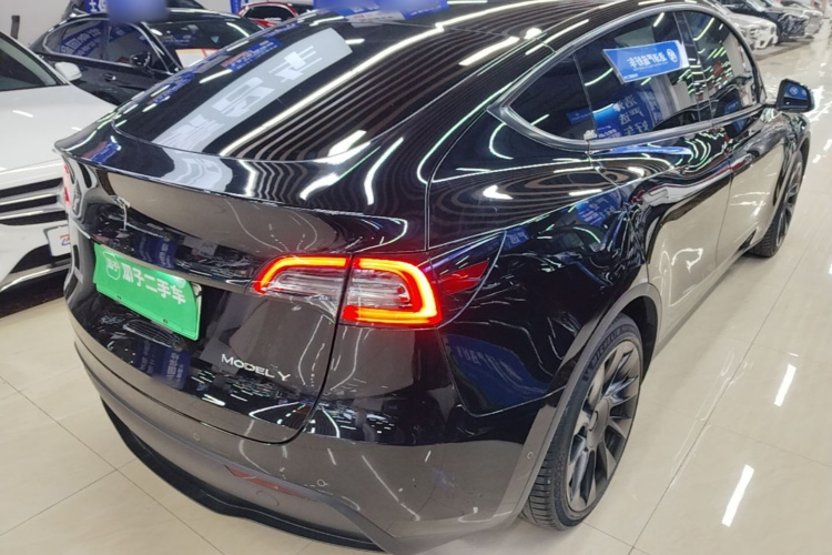 Tesla Model Y 2023 car image #7