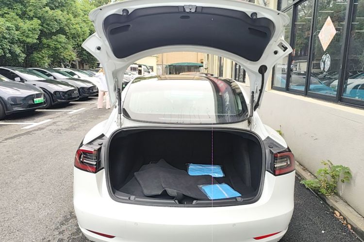 Tesla Model 3 2020 #21 Tesla Model 3 2020 car image #21