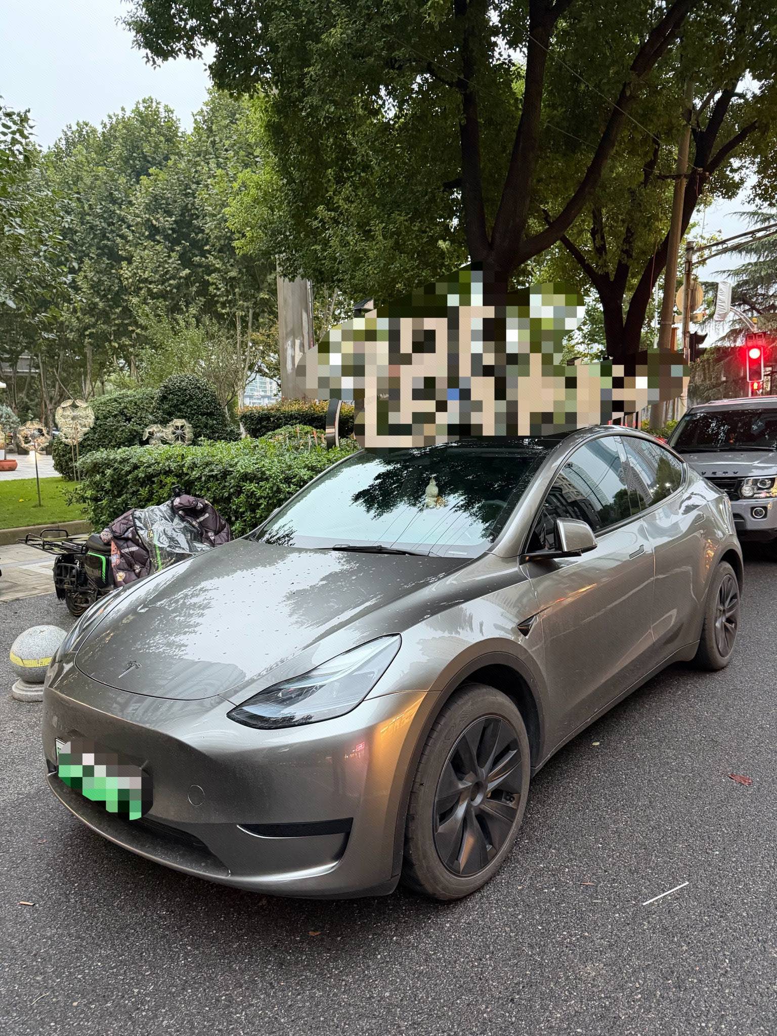Tesla Model Y 2024 car image 
