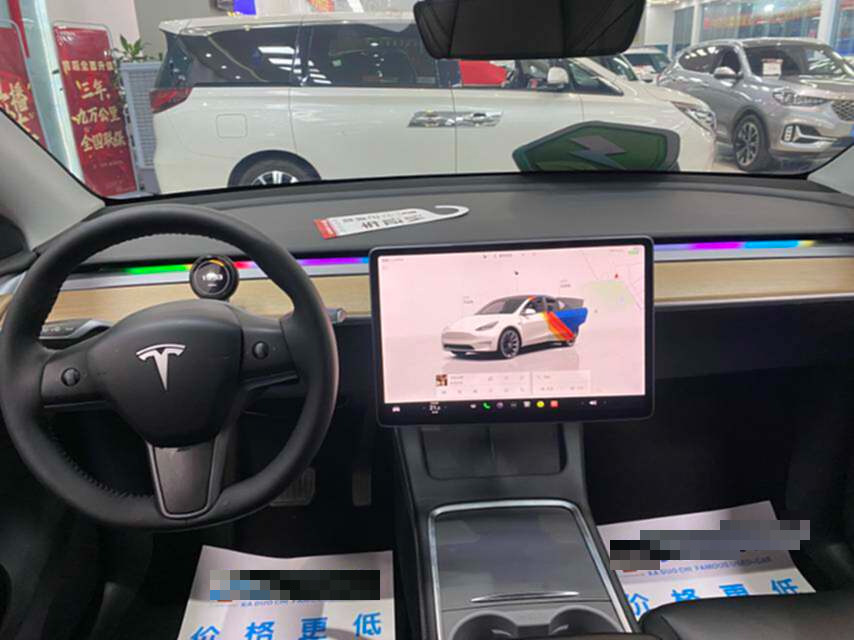 Tesla Model Y 2022 car image #6