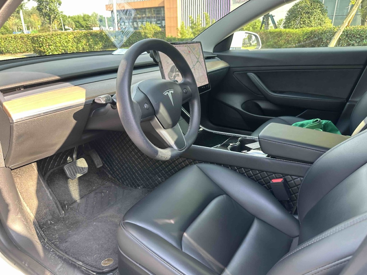 Tesla Model 3 2020 car image #6