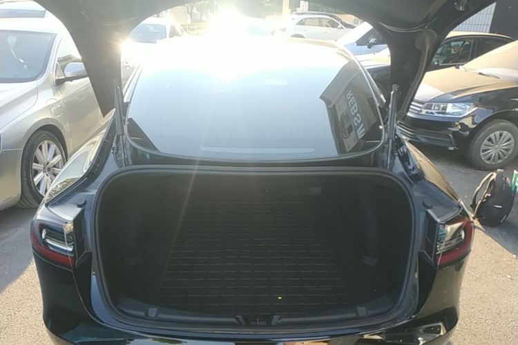 Tesla Model 3 2020 immagine di auto #19