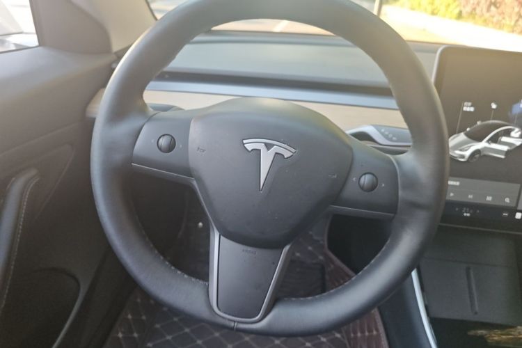Tesla Model 3 2020 #12 Tesla Model 3 2020 car image #12