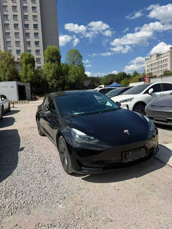 Tesla Model 3 2023 #2 Tesla Model 3 2023 immagine di auto #2