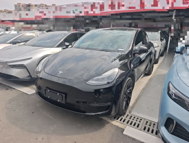 Tesla Model Y 2021 car image 