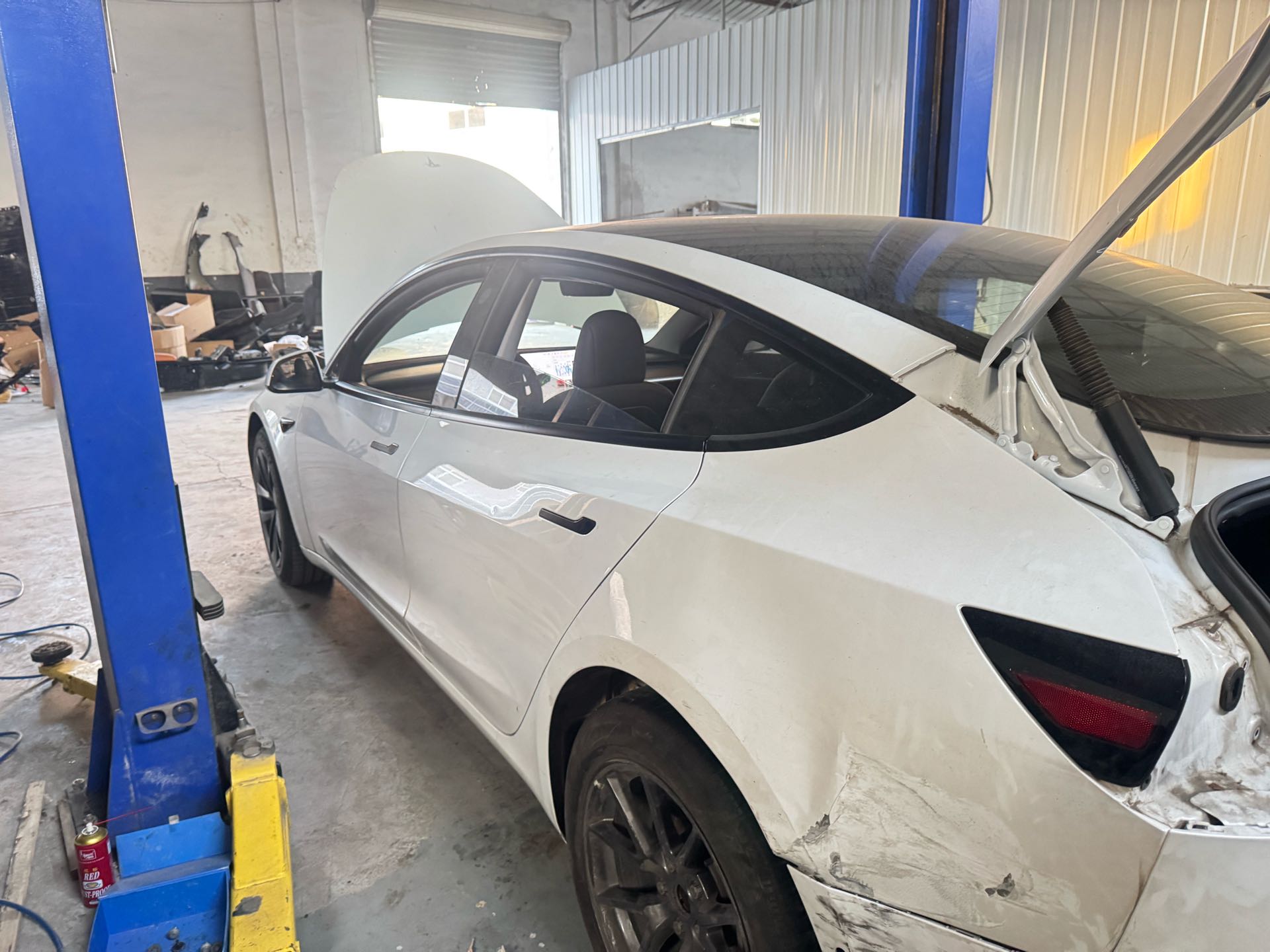 Tesla Model 3 2021 immagine di auto #4