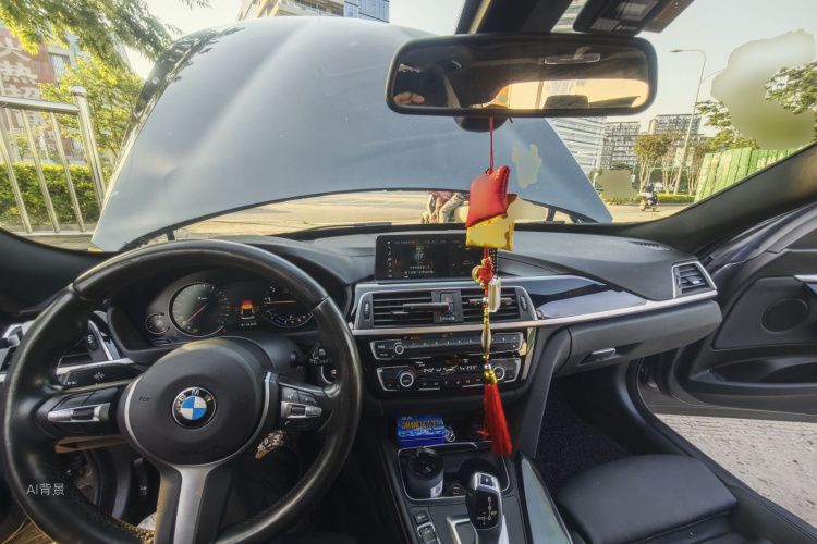 宝马 宝马3系GT 2019 汽车图片 #11