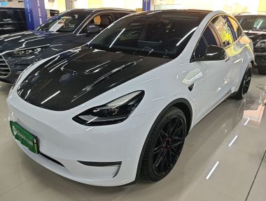 Tesla Model Y 2021 car image 
