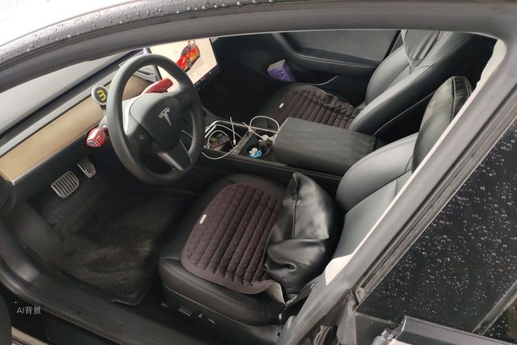 Tesla Model 3 2022 car image #18
