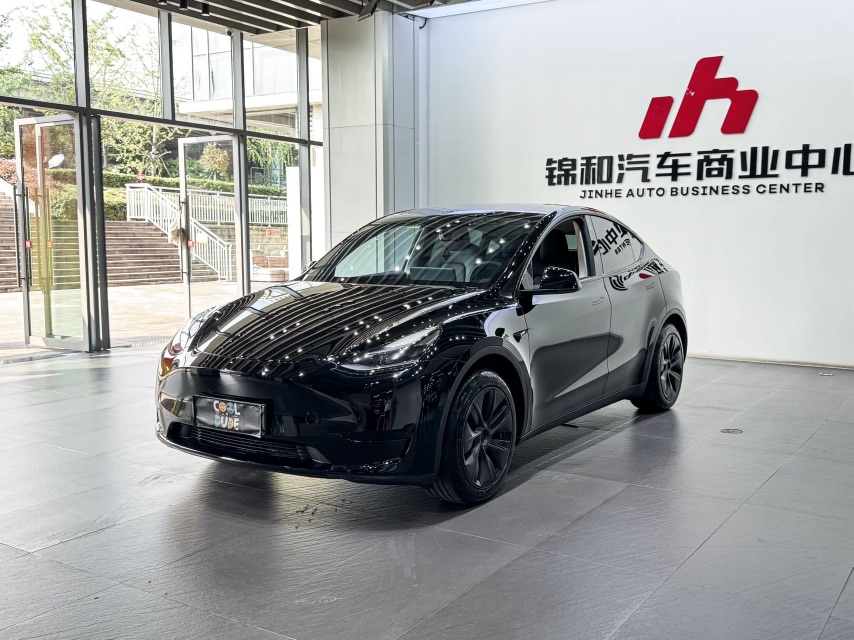 Tesla Model Y 2024 Tesla Model Y 2024 car image