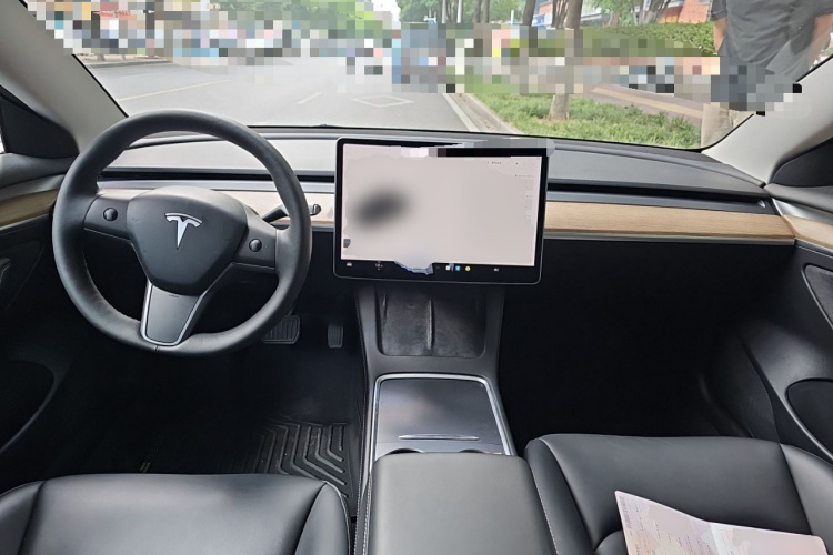 Tesla Model 3 2021 immagine di auto #7