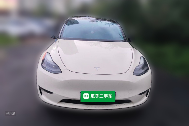 Tesla Model Y 2021 car image #3