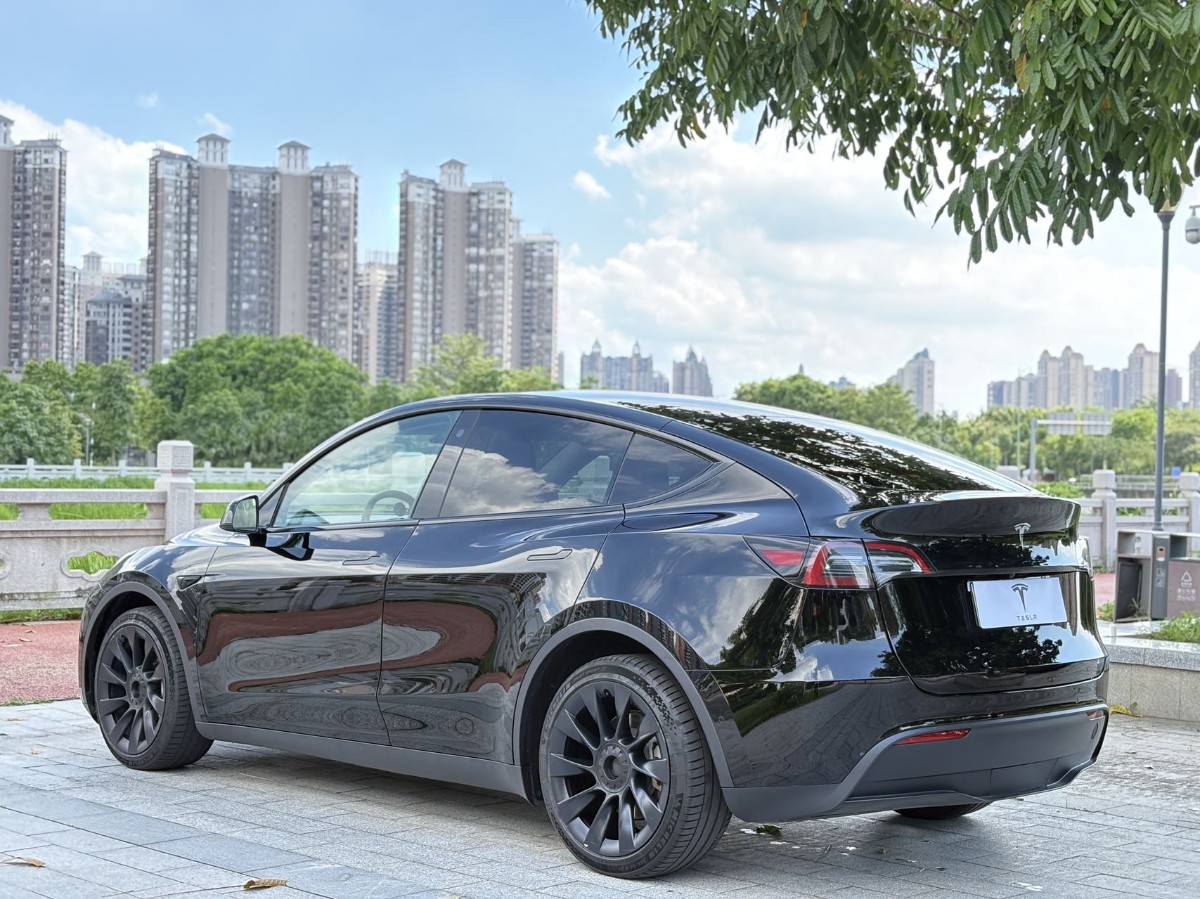 Tesla Model Y 2021 #7 Tesla Model Y 2021 car image #7