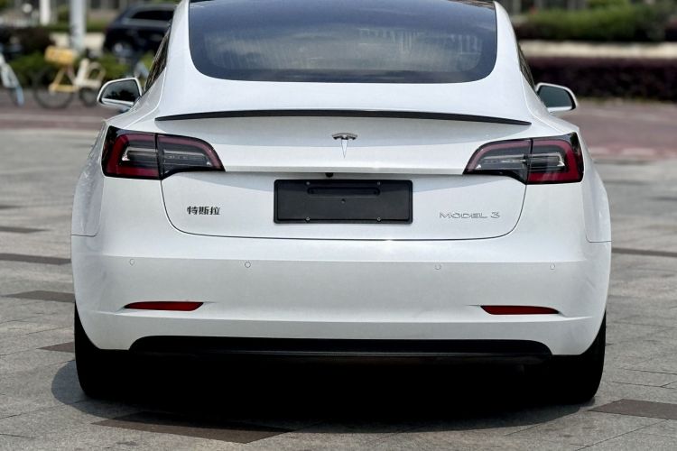 Tesla Model 3 2020 #6 Tesla Model 3 2020 car image #6