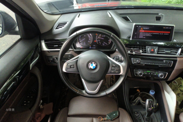 BMW X1 2019 car image #12