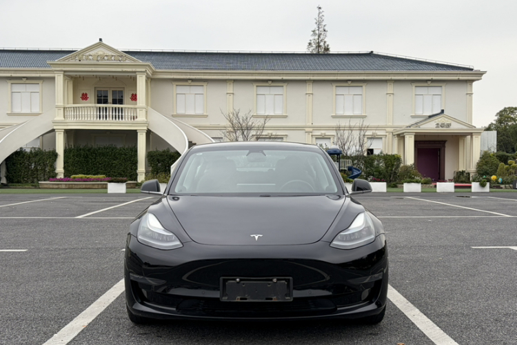 Tesla Model 3 2020 imagem de carro #4