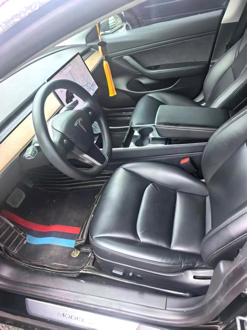 Tesla Model 3 2020 #5 Tesla Model 3 2020 car image #5