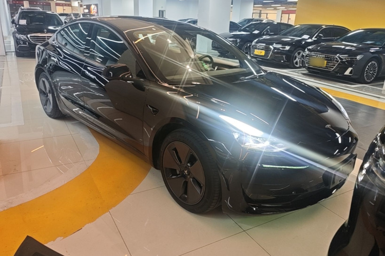 Tesla Model 3 2021 #6 Tesla Model 3 2021 car image #6