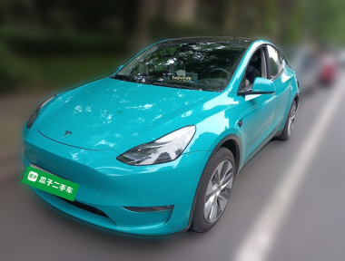 Tesla Model Y 2023 Tesla Model Y 2023 car image