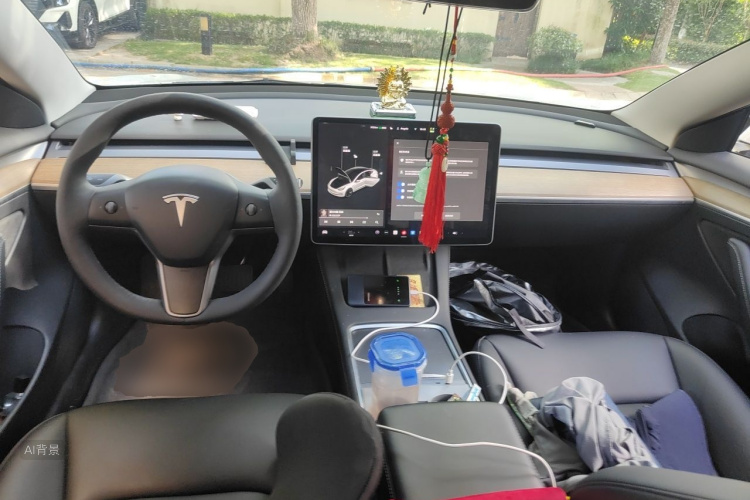Tesla Model 3 2021 #11 Tesla Model 3 2021 car image #11