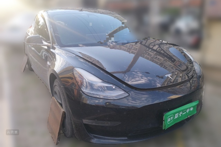 Tesla Model 3 2020 car image #4