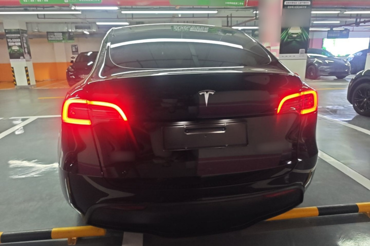 Tesla Model Y 2021 #6 Tesla Model Y 2021 car image #6