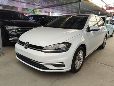 Volkswagen Golf 2019 car image 