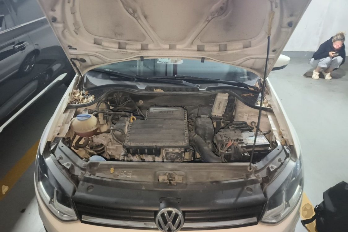 Volkswagen Polo 2015 #10 Volkswagen Polo 2015 immagine di auto #10