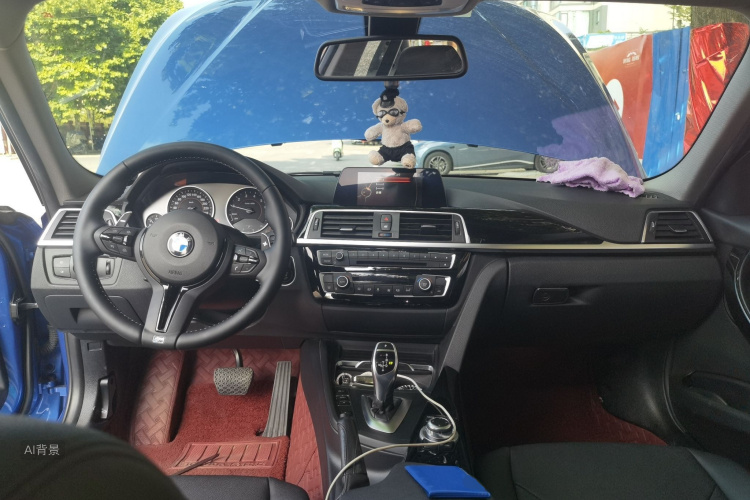 BMW 3 Series 2017 car image #11