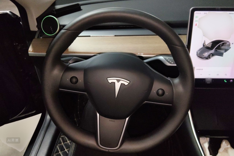 Tesla Model 3 2020 car image #12