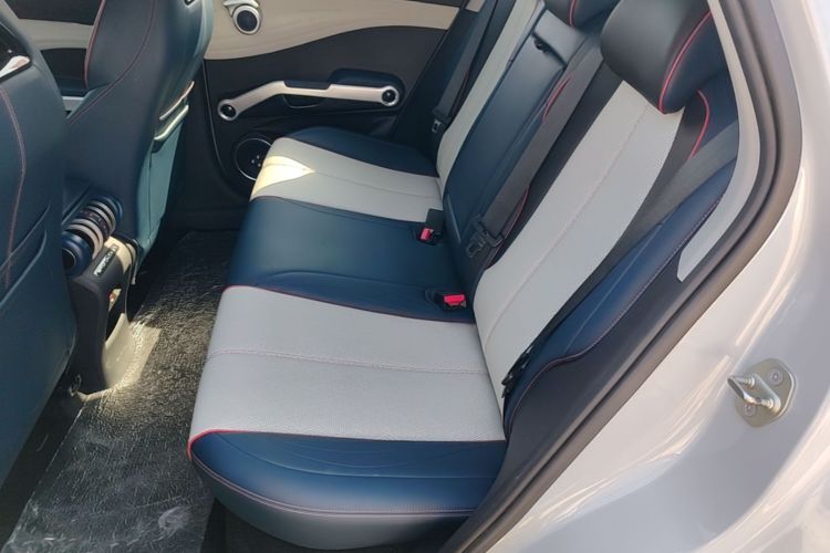 BYD Yuan Plus 2023 car image #13
