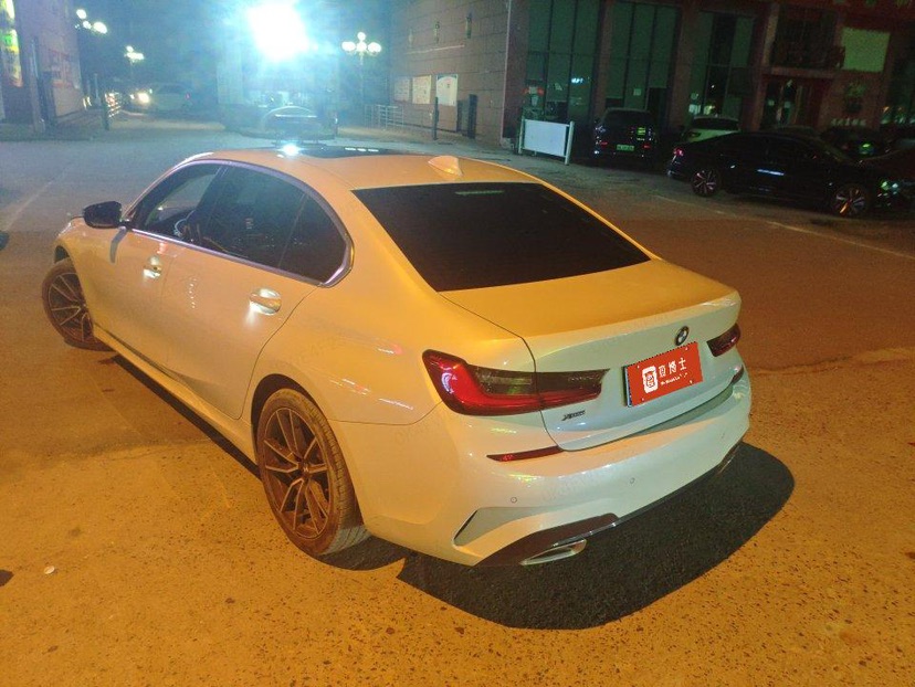 BMW 3 Series 2021 car image #8