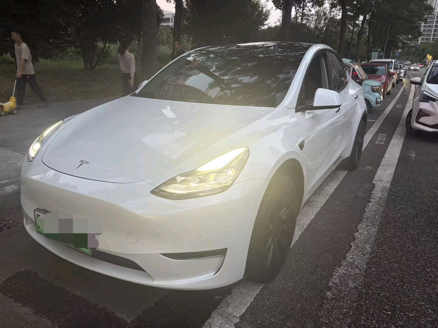 Tesla Model Y 2021 Tesla Model Y 2021 car image