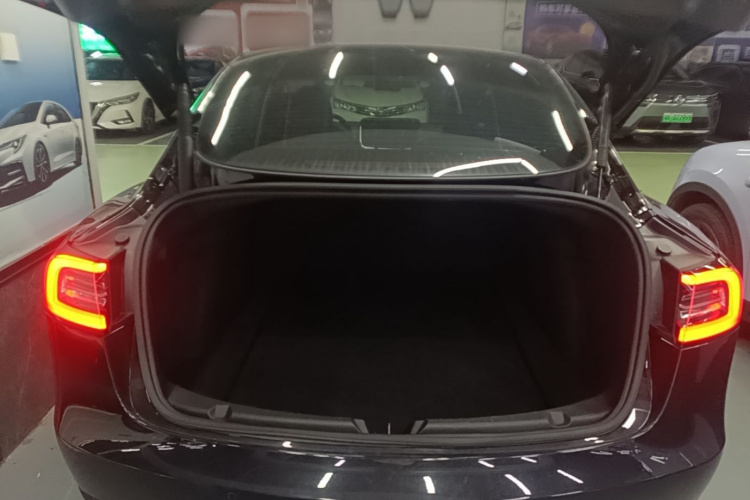 Tesla Model 3 2021 #19 Tesla Model 3 2021 car image #19