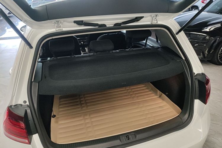 Volkswagen Golf 2020 immagine di auto #19