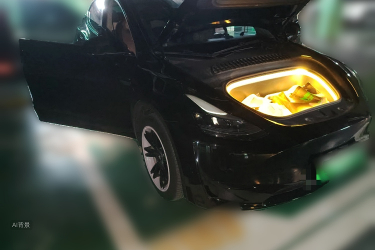 Tesla Model Y 2023 car image #4