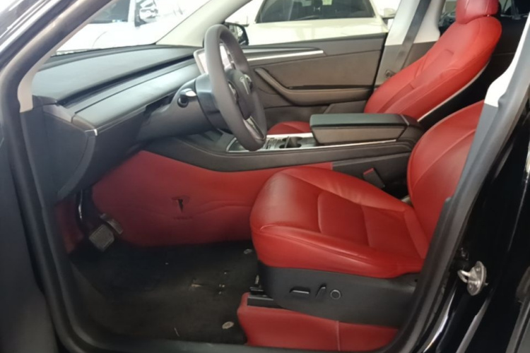 Tesla Model Y 2022 #15 Tesla Model Y 2022 immagine di auto #15