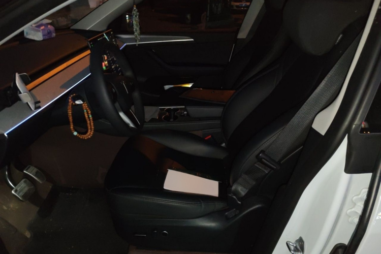 Tesla Model Y 2024 car image #19