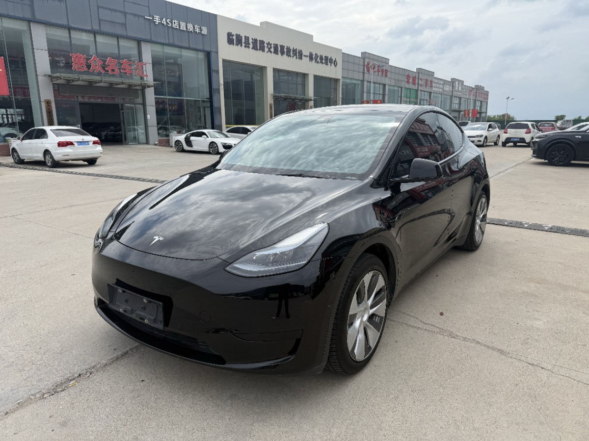 Tesla Model Y 2022 Tesla Model Y 2022 car image